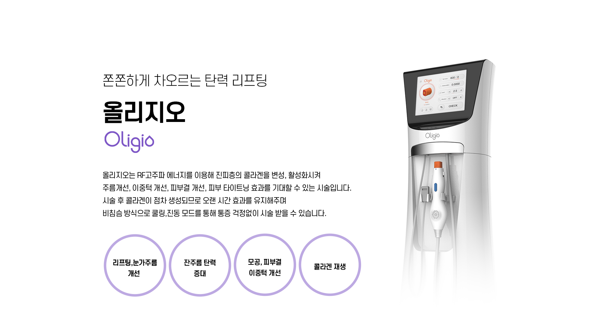 올리지오1