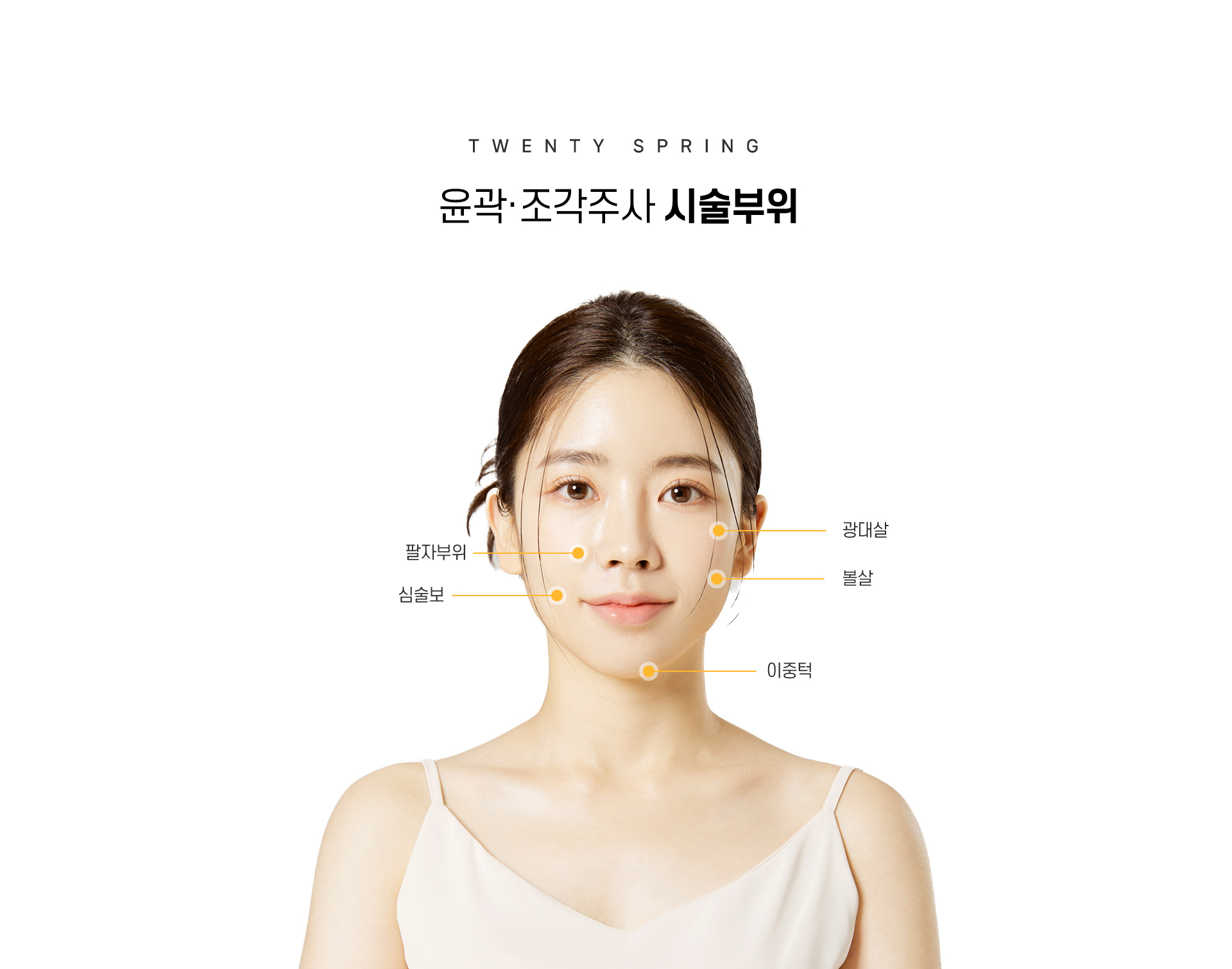 윤곽지방 축소_05