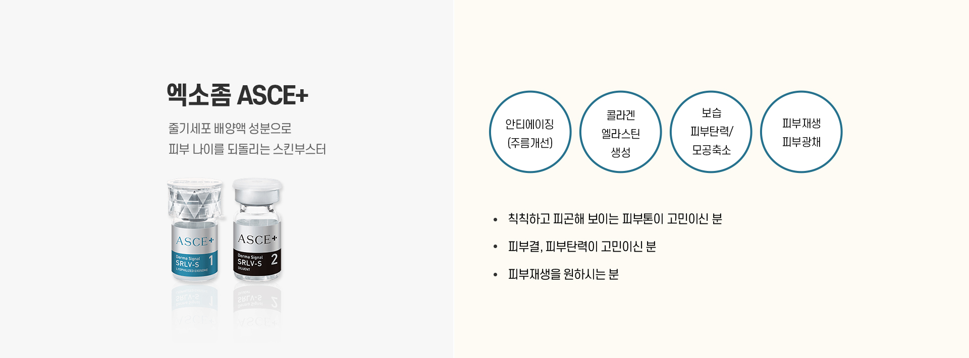 엑소좀ASCE+